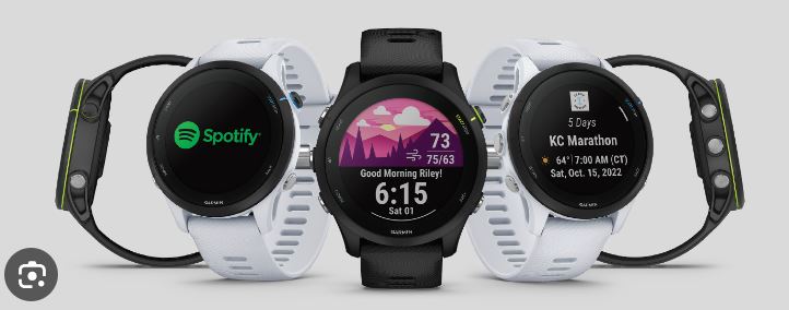 Các mẫu Garmin Forerunner 255