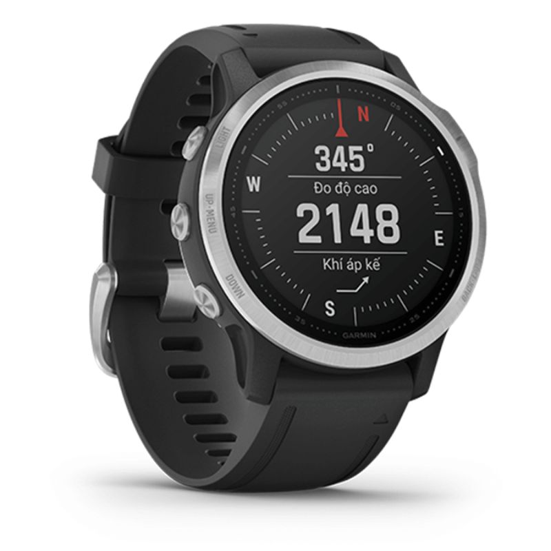 Garmin Fenix 6s