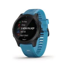 Đồng Hồ Garmin Forerunner 45